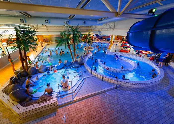 Tulp En Zee * 노르트베이크